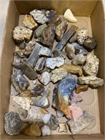 Crystal, rocks & fossils