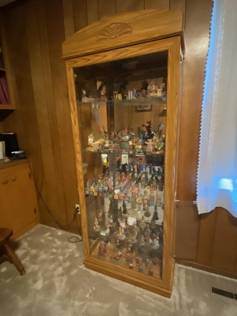 Glass Curio Cabinet with Light