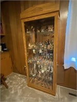 Glass Curio Cabinet with Light