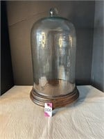 Glass Domed Display 13" Dia 11"H