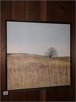 PRINT OF A FIELD BY D. ARMSTRONG 68, 21" X 21"