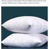 Set of 2, Square Decorative Throw Pillows