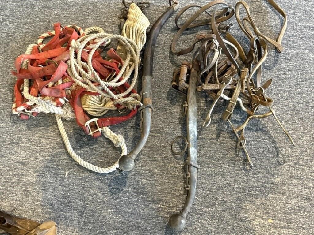 Metal Horse Hames, Bits, Lead Rope, and