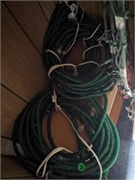 Green String Lights  (Back Room)