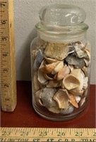 Glass Jar filled with Sea Shells