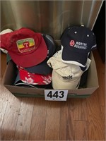 Collection of Hats(Kitchen)