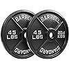 NEXO Fitness Steel Olympic Plates 45lb Pair