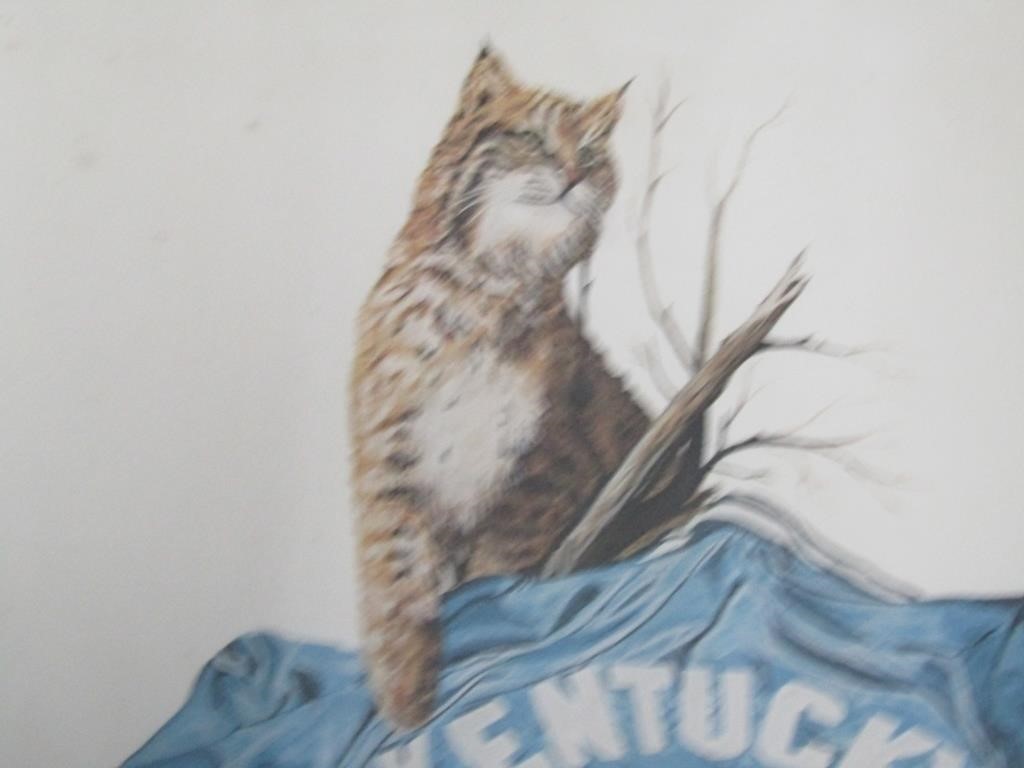 Kentucky Wildcats Print   Framed, Signed & Numberd