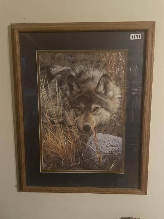 Nicely Framed 23" x 28" Wolf in Wait Print