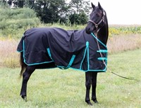 Tech Equestrian 1200 Denier Horse RAIN Sheet