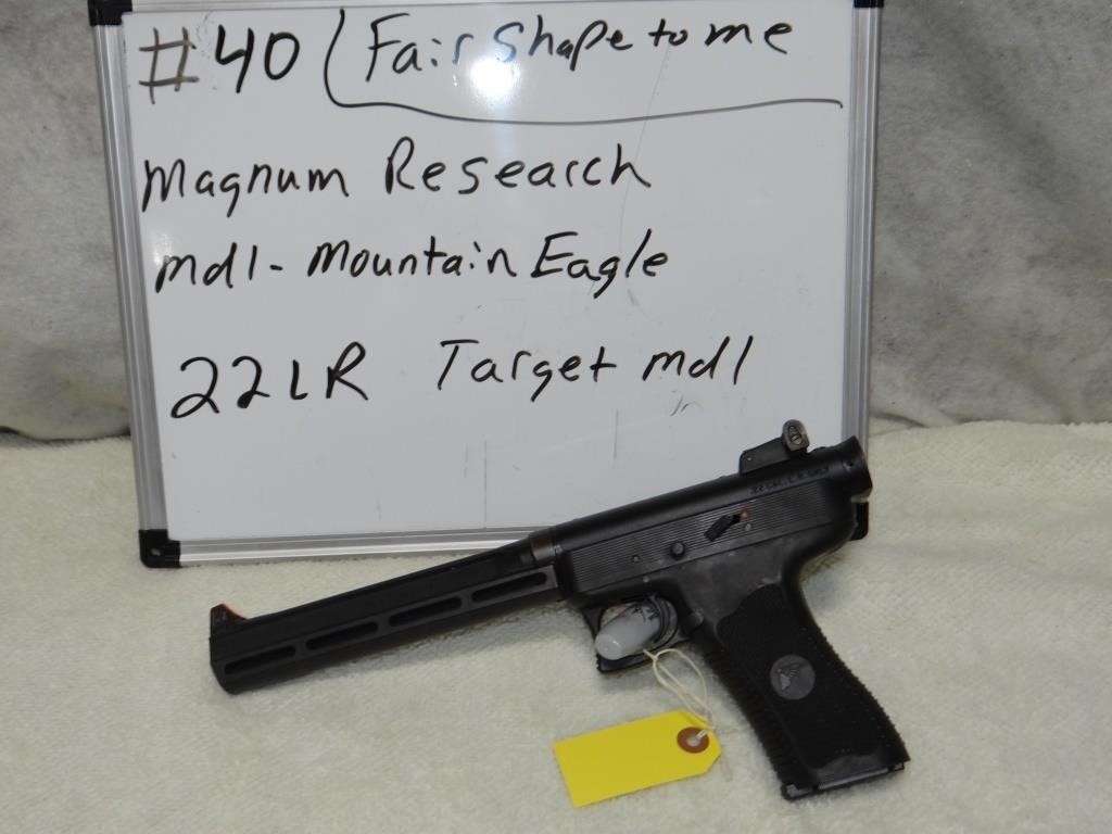 Magnum Research Mdl Mtn. Eagle Cal 22LR