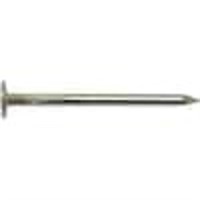 2 In. Electro Galvanized Roofing Nail 30 Lbs.