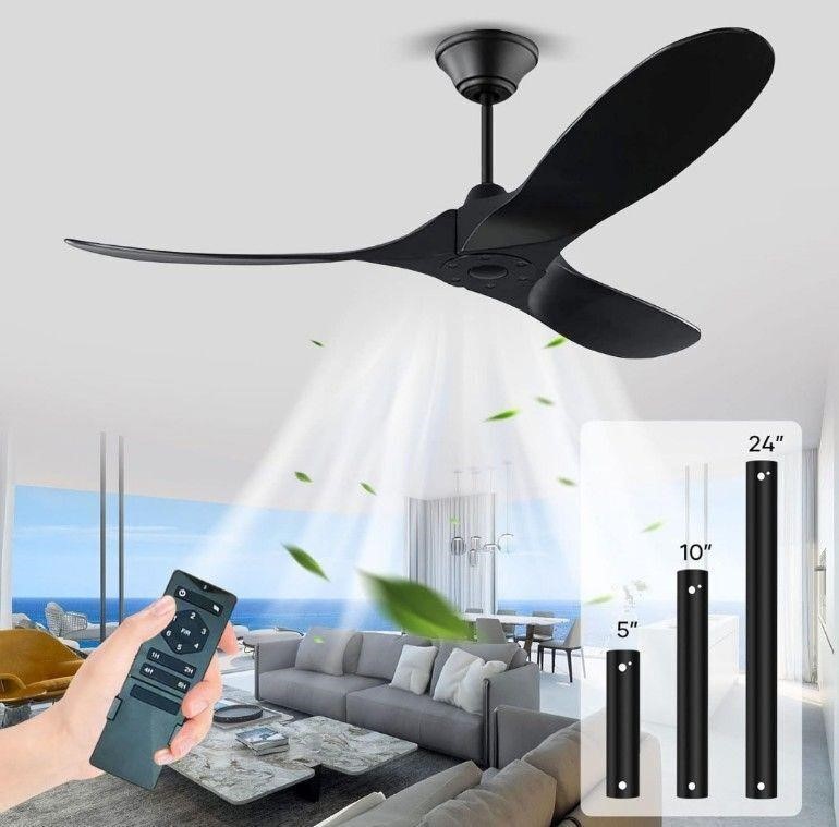 ($249) Black Ceiling Fan