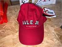 Dale Earnhardt Jr. Budweiser Hat with tag