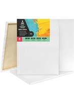$67 4PK (18x24") Canvases for Painting