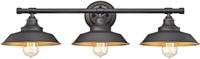 Westinghouse Lighting 6344900 Industrial Iron Hill