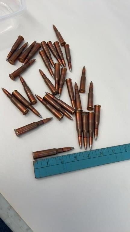 30 Rounds of Unknown Caliber Ammunition