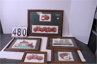 Set Of Counted Cross Stitch Apple Pictures