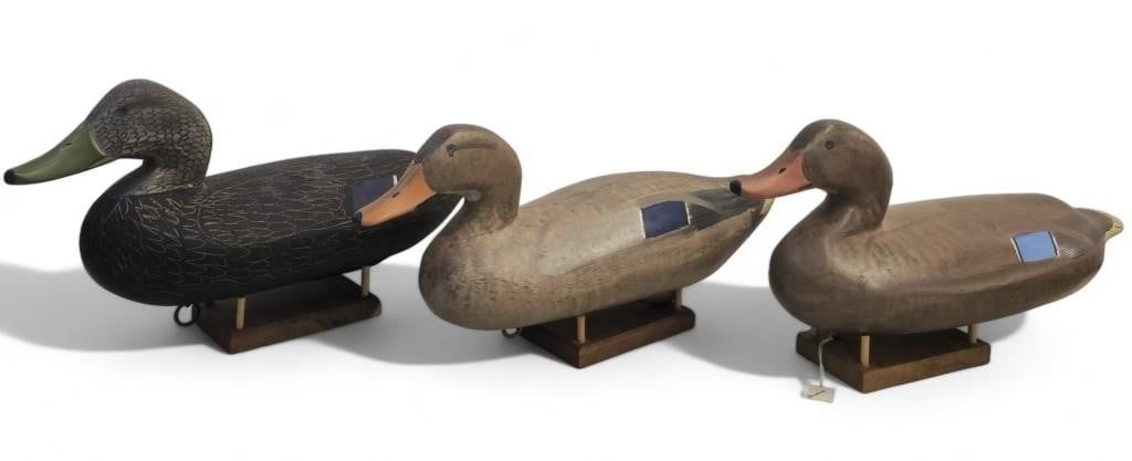 Duck Decoy Sale
