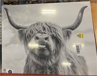 Highland Cow Canvas Wall Art