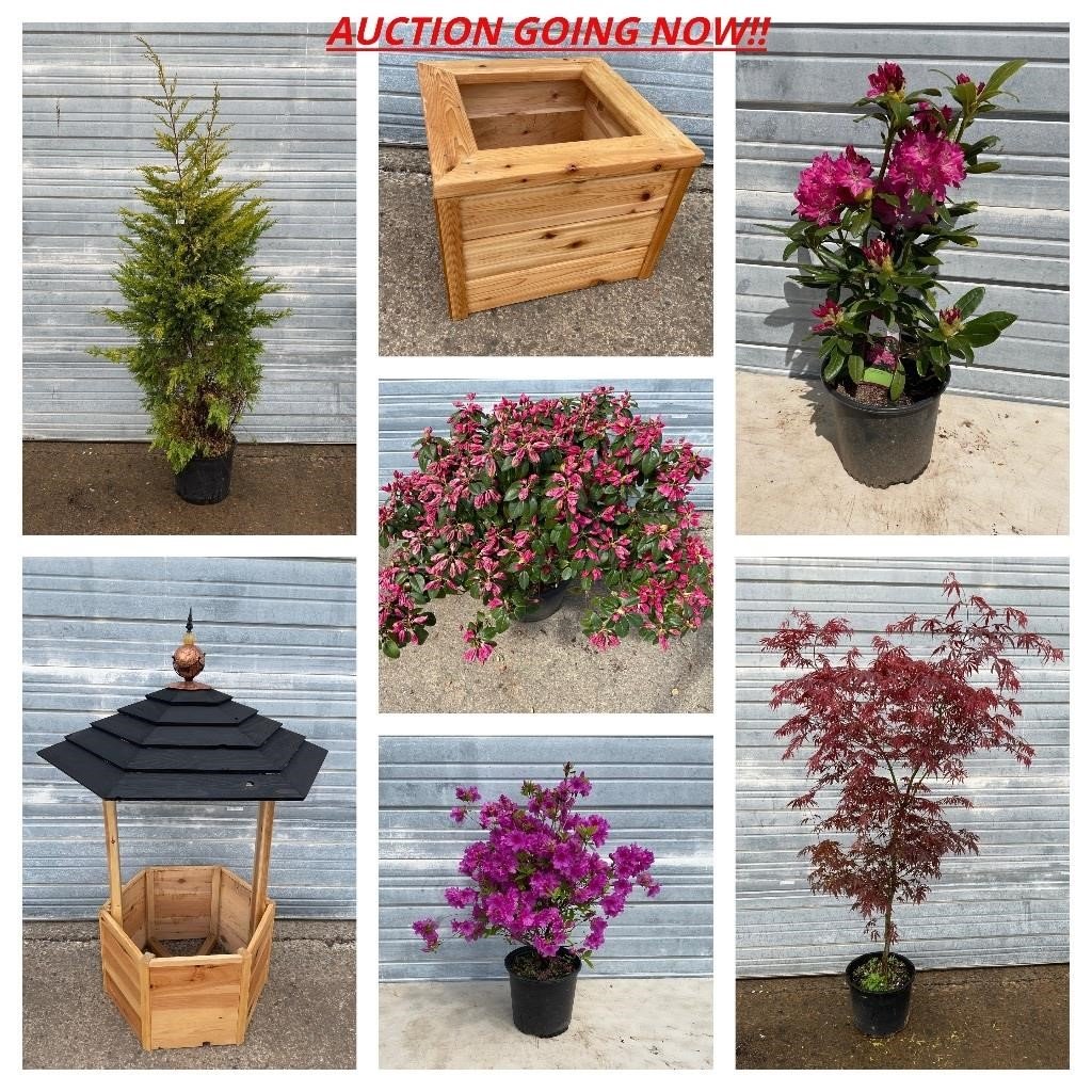 Big Plant and Garden Auction