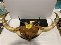 DOUBLE SET OF MOUNTED LONGHORN HORNS