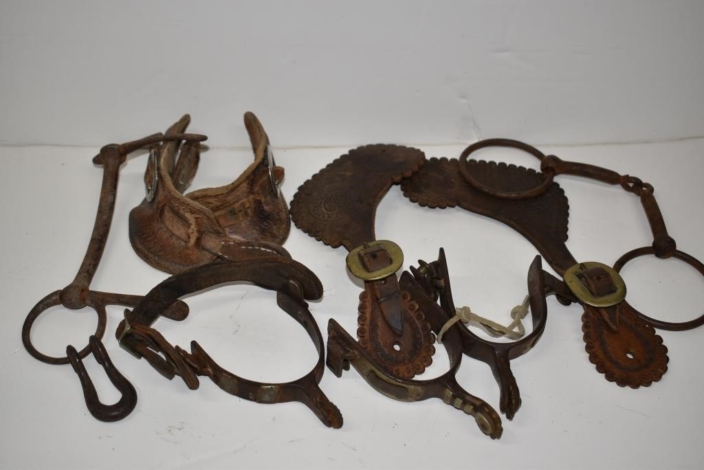 Assorted Horse Stirrups, Spurs and Bits