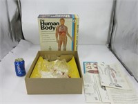 Model kit vintage, Le corps humain