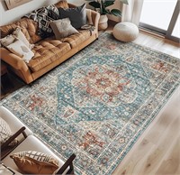 $200 8x10’ Accent Rug