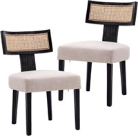 BESTANO Mid Century Modern Dining Chairs Set of 2,