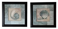 Seashell Framed Art Prints