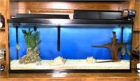 55 Gallon Freshwater Aquarium & 5 Live Fish