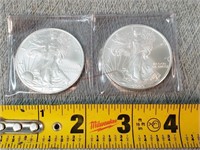 2004 & 2005 American Eagle Silver Dollars