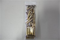 .300 WEATHERBY MAG 40 CT CASINGS