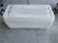 Igloo cooler - 36 in