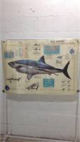 1993 Laminated Mote Marine Shark Poster U13B