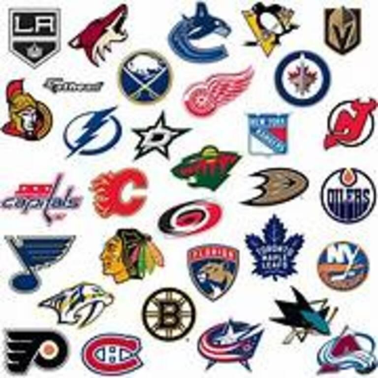 NHL Hockey Team Stickers/Decals