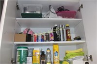 Contents of Cupboard incl Iron, shoe Polish