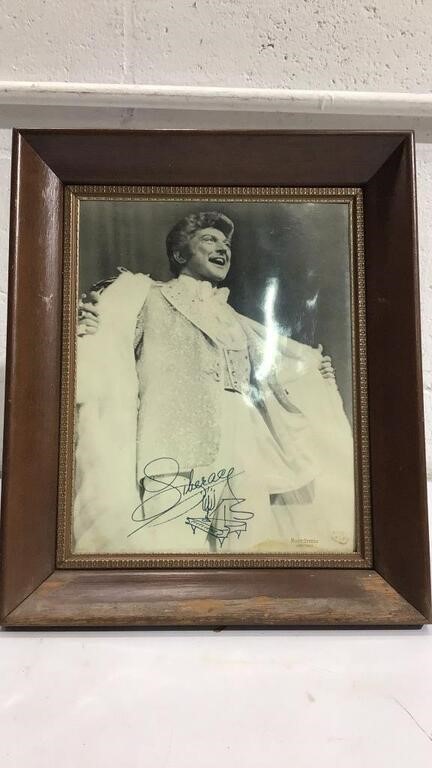 Signed Frame Picture M15B