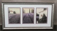 Lavender Fields Framed Print 21 1/2" x 11 3/4"
