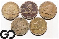 5-coin Lot, Flying Eagle Small Cents