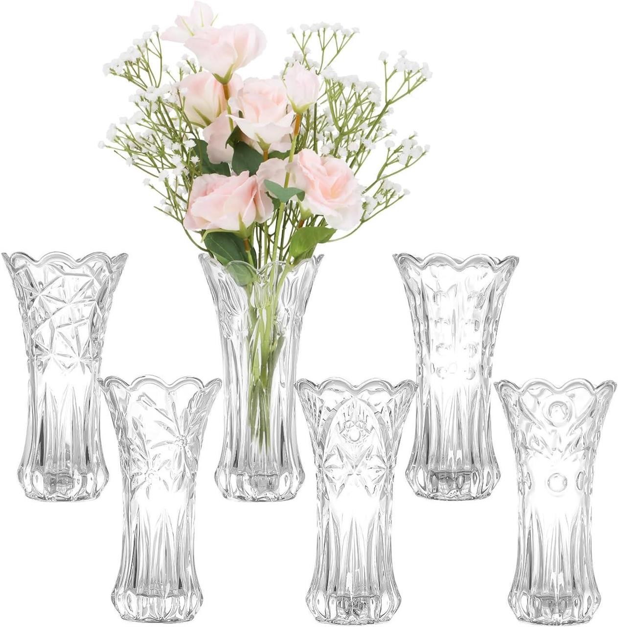 HOXHA Glass Vase Set of 6
