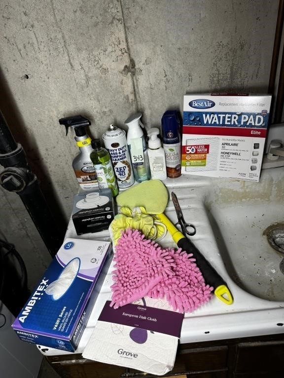 Cleaning Products & Misc. On Sink