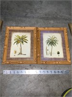 lot of 2 palm tree framed wall art decor
