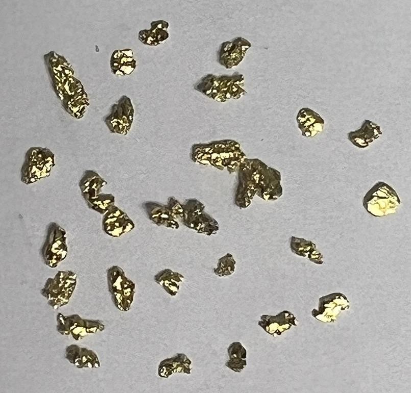 Some REAL Gold!  Assorted Small Nugget/Flakes!