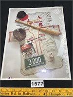 Stan Musial Poster