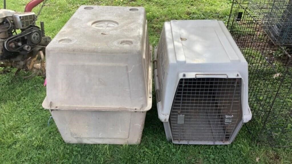 Dog kennels, animal traps