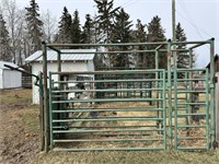 Cattle Palpation Chute w/ Head gate