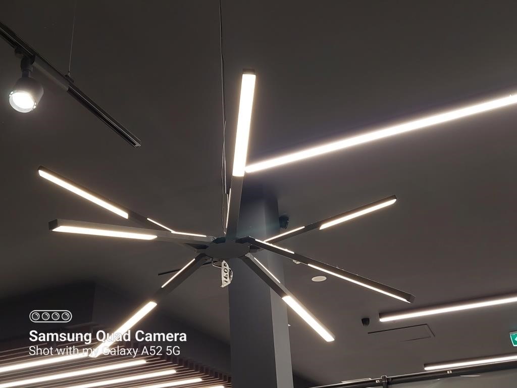 Decorative Overhead Multi Branch Feature Light