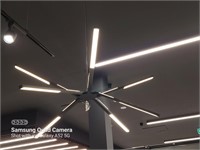 Decorative Overhead Multi Branch Feature Light